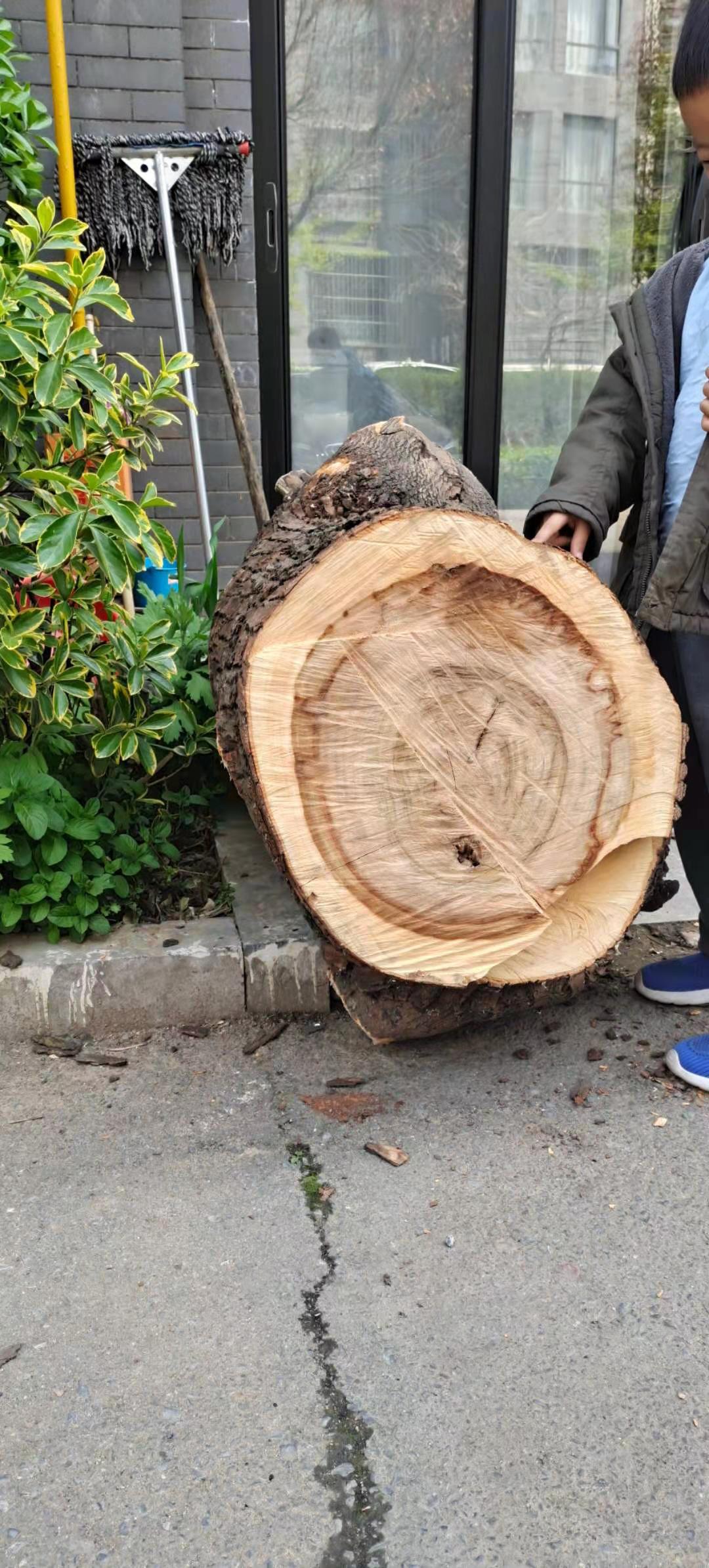 微信图片_20210412141612.jpg 微信图片_20210412141612.jpg