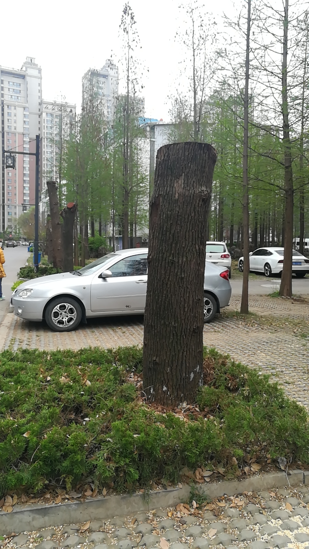 微信图片_20210412141629.jpg 微信图片_20210412141629.jpg