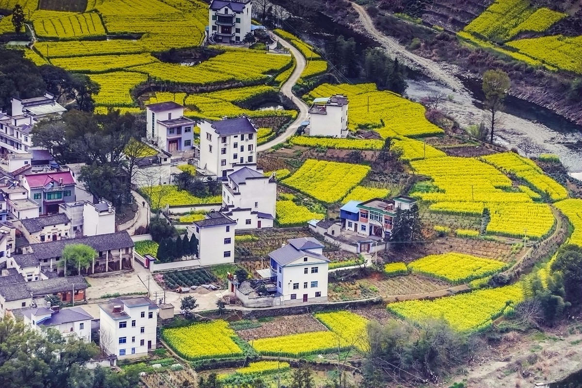 【杆言杆摄】风从徽州来 柿木汰 淡淡的乡愁记忆_图1-4