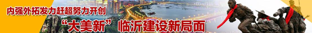 临沂市人民政府