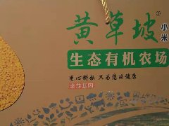 黄草坡有机小米简介